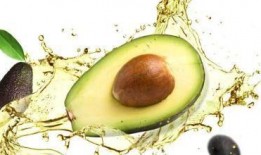 墨白工作室免费吃瓜,免费吃瓜盛宴，揭秘娱乐圈幕后故事